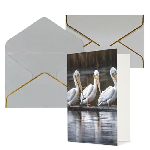 STVYUKL O[eBOJ[h CgO[̕t Thinking of You Card Three Pelicans Happy Birthday  ҏ 󔒂̃J[h @ 4x6