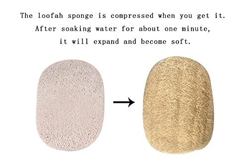 Wooden Lid For 14 Inch Cast Iron Wok Lightweight Cover For Pot Pan And Skillet With A Loofah Sponge For Washing(14.2 Inch (36 Cm)) #TOP2