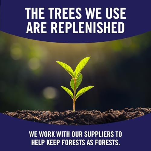 SparkleÃ‚® Tear-A-SquareÃ‚® Paper Towels, 2 Double Rolls = 4 Regular Rolls, 2 Count (Pack of 1)