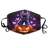 Adults Boys Girls Warm Protective Masks Fashion Scarf Anti Dust Windproof Mouth Cover, Halloween French Bulldogs Pumpkins And Fluttering Butterflies Art Mouth Decoration for Sports Travel Hiking
