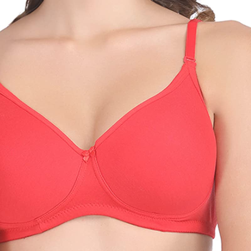 Image of Groversons Paris Beauty Women's Padded, Non-Wired, Seamless T-Shirt Bra (BR190)