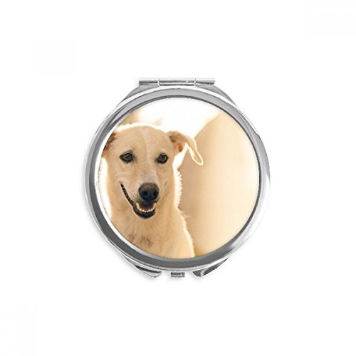 Miroir de maquillage chien blanc de poche portatif pour soin visage multicolore