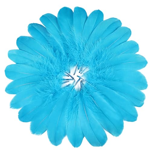 FeelfunFeather 120pcs Aqua Blue Goose Feathers 6-8 Inch 15-20cm Decorative Natural Goose Nagoire Feather Bulk for DIY Crafts Cosplay Wedding Party Christmas Halloween Home Decoration