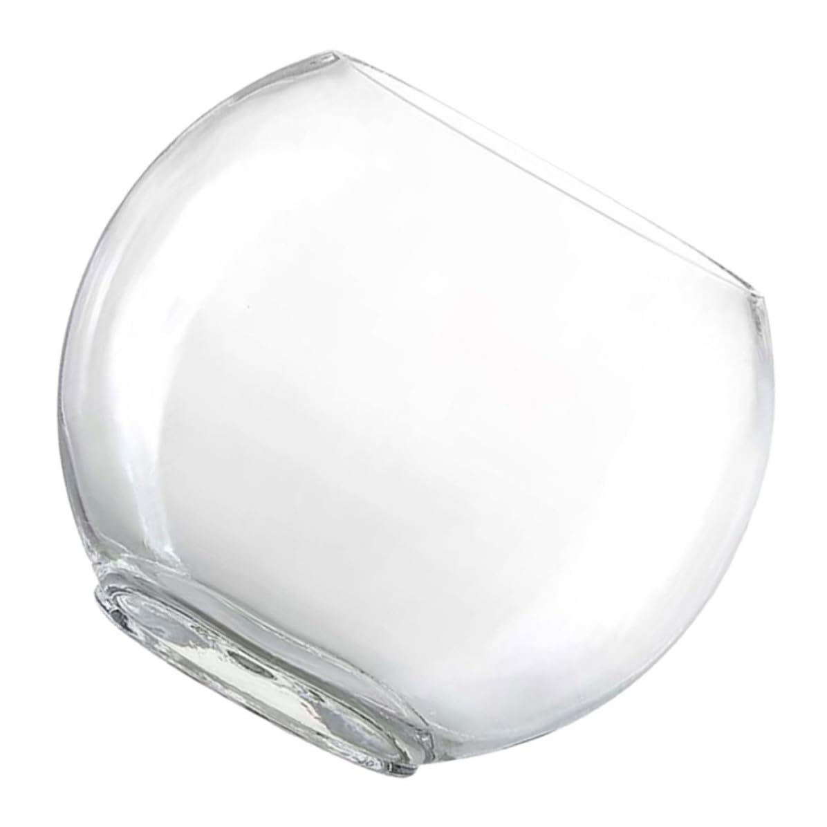 HEMOTON Aquarium en Verre Transparent Décoratif pour Plantes, Style
