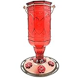 More Birds Red Jewel Hummingbird Feeder, Glass Bottle, 5 Feeding Ports and 20-Ounce Nectar Capacity
