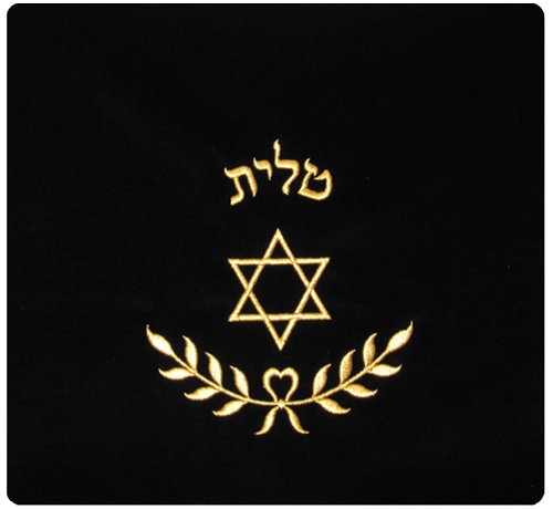 Star of David and Branch of Leaves in Gold Threading Velvet Tallit/Tefillin Bag