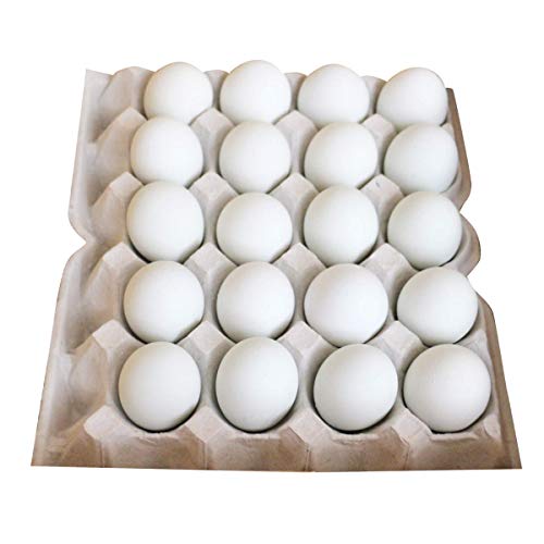 CGbO CJ̗ 20 l  QY 퉷 { ܂ Y Q