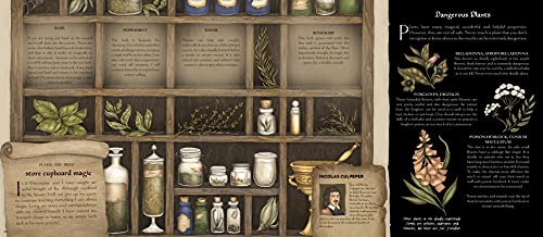 A Natural History Of Magick (Folklore Field Guides) #TOP3