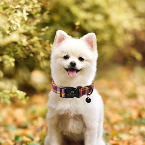 Image of Halloween Dog Collar, Colorful Plaid Dog Collar for Small Dog, Fall & Winter Dog Collar with Lightweight Plastic Buckle, Cute Plaid Pet Collar for Girl Boy Dogs,S,Neck 10-16in