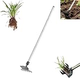 Dual-Purpose Iron Rake & Garden Hoe for Gardening and Weeding, 6 Teeth Ironrake Heavy Duty Iron Weeding Hoe, Rake for Dethatching Lawn, Garden Weed Puller Tools for Backyard Lawn Loosening(Dual)