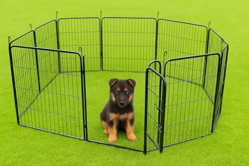 Welpenauslauf Gehege Zwinger Laufstall Hundezaun Tiergehege Hundekäfig Gitterzaun Auslauf 12-TLG. 80cm hoch Kleintierstall, Kleintiergehege, Transportgitter, Hasenauslauf, Campingzaun, Campinggitter,