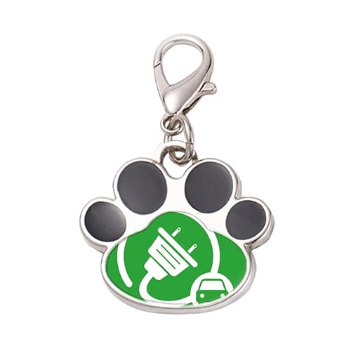 DIYthinker?Big Plug Energy Vehicles Protect Environment Pet Tag Keychain Dog Cat ID