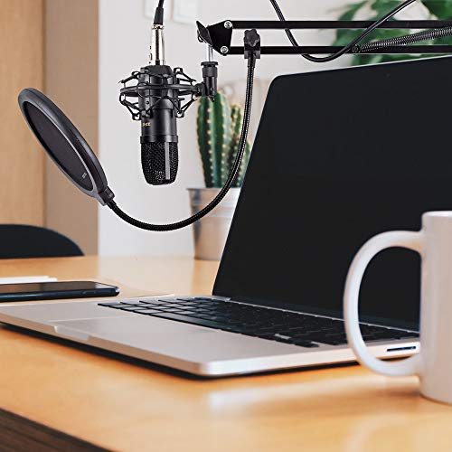 Zingyou Condenser Microphone Computer Mic Kit Zy-007 Professional Studio Recording Bundle For Streaming Gaming Broadcasting Singing Videos With Arm Stand Shock Mount Pop Filter And Sound Adapter #TOP5