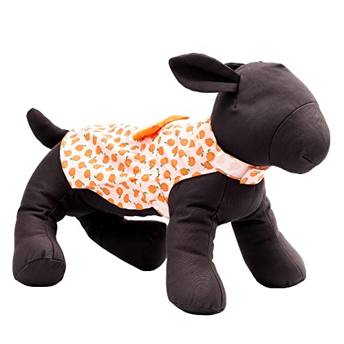 Vestido para perro The Worthy Dog tamaño X-Small miniatura 3