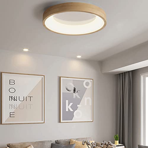 Plafonnier encastré simple et élégant de 19.7In avec lumière réglable 6000K - 4