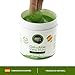Gel Aloe vera puro 100% de Canarias crema hidratante natural 500 ml...