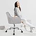 SMUGDESK Home Office Chair Padded Computer Task Chair Adjustable Desk Chair with Swivel Casters for Office Leisure Grey