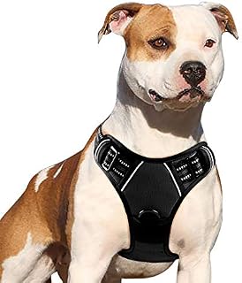 Eagloo Dog Harness No Pull, Walking Pet Harness with 2 Metal Rings