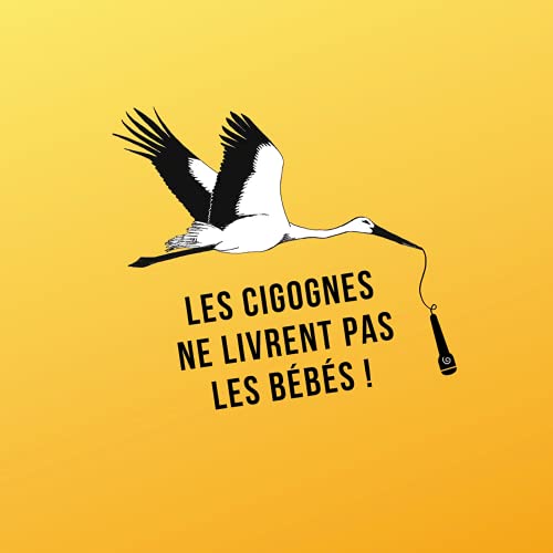 Couverture de Les Cigognes ne livrent pas les b&eacute;b&eacute;s