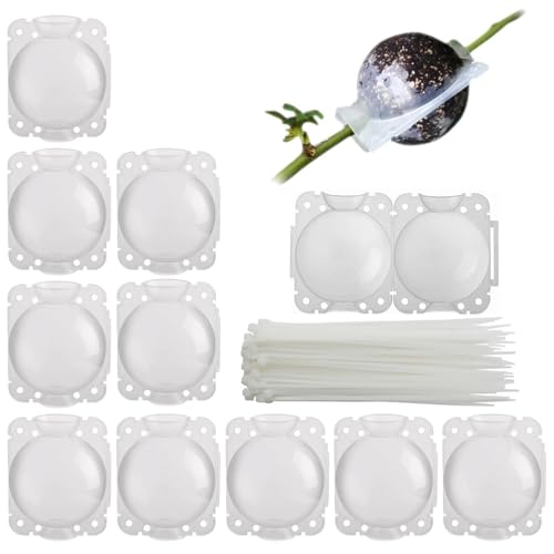 Tkxjry 10 Stücke Wiederverwendbares Pflanzenwurzelgerät, 5CM Pflanzenwurzelgerät Hochdruck, Wachstumsbox für Indoor Outdoor, Wachstumsbox Plant Rooting Ball, für Gartenpfropfung Wurzelbildung