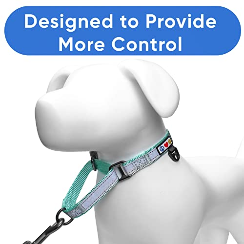 Pawtitas Martingale Dog Collar Puppy Collar Reflective Dog Collar Training Dog Collar Behavioral Dog Collar Large Dog Collar Teal Dog Collar #TOP4