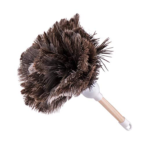 africX Staubwedel Strauß mit Straußenfedern Small mit hellem Holzstiel - ca. 30 cm Cover