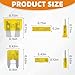 Liamner 80 PCS Car Fuses Assortment Kit, Standard & Mini Fuse (2A/3A/5A/7.5A/10A/15A/20A/25A/30A/35A), Blade Fuses Automotive for Car, RV, Truck, Marine, Motorcycle