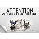 Stick Attention au chien chihuahua poil court