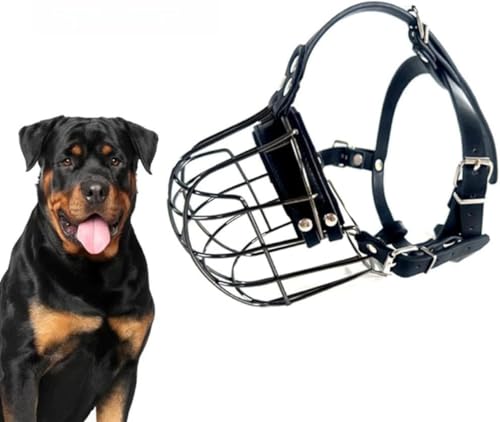 Eiuuioj ݂hp bgC[At`Eu[AJlER\ ybgp^E^pih~SP[W (ubN)