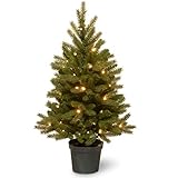 National Tree 3 Foot Feel Real Jersey Frasier Fir Entrance Tree with 35 Warm White Battery Operated LED Lights in Growers Pot (PEJF1-306-30-B)