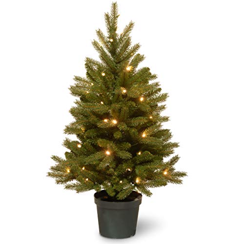 National Tree Company 'Feel Real' Pre-lit Artificial Christmas Tree For Entrances | Includes Pre-strung White LED Lights and Pot Base | Jersey Frasier Fir - 3 ft