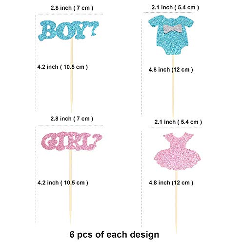 Ercadio 24 Pack Boy Or Girl Cupcake Toppers Glitter Onesie Jumpsuit Cupcake Picks Baby Shower Kids Birthday Gender Reveal Party Cake Decorations Supplies. #TOP1