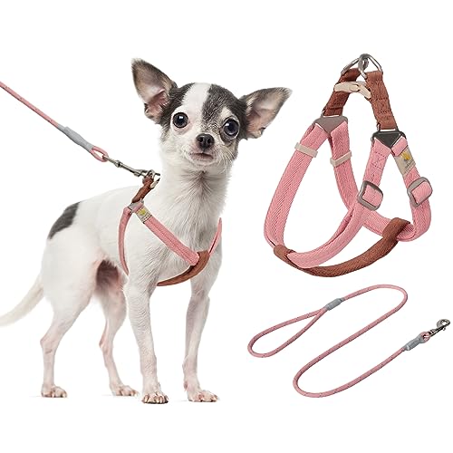 Hundegeschirr Für Kleine Hunde - Kariertes Leichtgewicht Mit Anti-Flucht-Design