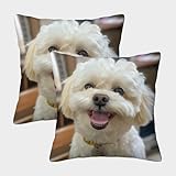 ★ Matériau polyester: les taies d'oreiller décoratives utilisent des taies d'oreiller en polyester de haute qualité qui sont respirantes et durables, plus résistantes aux plis que les autres matériaux. Le tissu en polyester a également de bonnes propriétés antibactériennes et antipoussière.