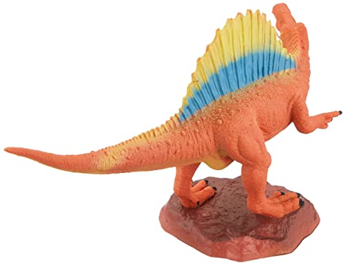 Dr. Steve Hunters CL1644K - Collezione dei