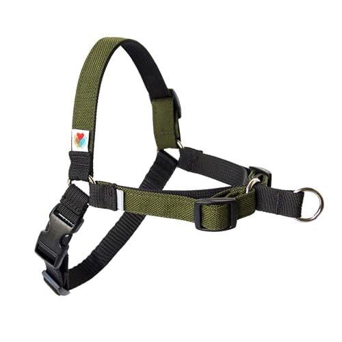 Wildebeest No Pull Dog Harness | Comfortable Training Harnesses | Effective No Pull Harness Design | Ideal for Large Sized Dog | 4-Point Adjustable(L