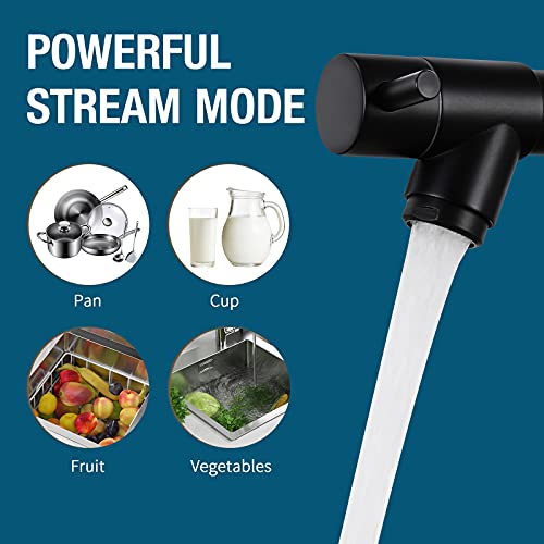 Qomolangma Commerical Kitchen Faucet With Pull Down Sprayer, Single Handle 2 Spout Spring Kitchen Sink Faucet With Lock, With Deck Plate, Matte Black #TOP5