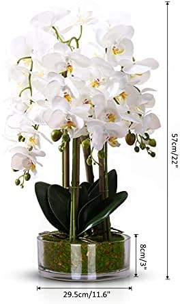 Qucover Artificial White Orchid Butterfly Flower in Vase Real Touch Fake Phalaenopsis Silk Bouquet Bonsai for Home Wedding Party Decoration Mothers Day Flowers