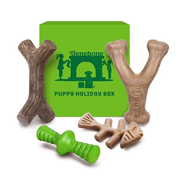 Benebone Holiday 4-Pack Durable Dog Chew Toys for Aggressive Chewers, Real Flavors, Made in USA, Puppy Benebone Holiday 4-Pack Durable Dog Chew Toys for Aggressive Chewers, Real Flavors, Made in USA, Puppy