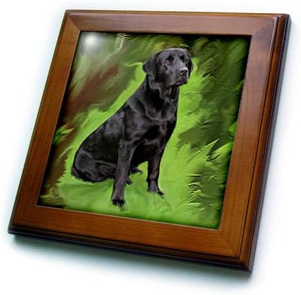 3dRose ft_3892_1 Black Labrador Retriever Framed Tile, 8 by 8-Inch