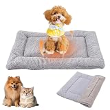 BUKLUKE Hundebett Flauschig, 55 x 75 cm Hundebett Waschbare Hundematte, Hundekissen Flauschig mit rutschfeste Unterseite für Dog Cat Pets, Größe: M (Grau)