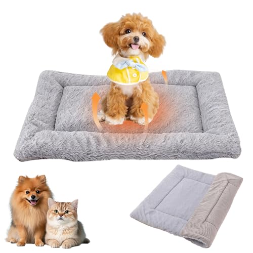 BUKLUKE Hundebett Flauschig, 55 x 75 cm Hundebett Waschbare Hundematte, Hundekissen Flauschig mit rutschfeste Unterseite für Dog Cat Pets, Größe: M (Grau)