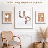 Zourglow 1000 sztuk mieszanych muszli oceanu, 10 stylów naturalnych mini muszli morskich i 8 sztuk duża muszelka, dekoracyjne muszle do zbiornika rybnego, imprezy tematycznej, DIY, wesela