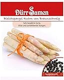 Spargel Samen Weißer Bleichspargel Braunschweiger Spargelsamen ca. 200 Samen Saatgut Gemüse Garten Dürr Samen