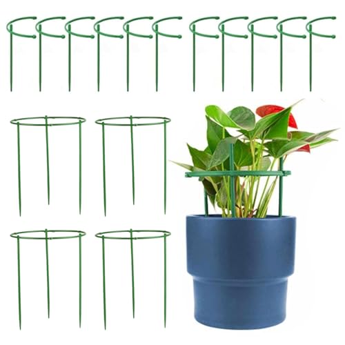 24 soportes para plantas de jardín, soportes de plástico semicirculares para plantas trepadoras de interiores y exteriores, hortensias, rosas, verduras, flores, peonías, marcos de soporte (9.65 x 7.87