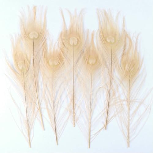 10 20 PCS Peacock Feather Party Table Centerpiece Decoation Natural Peacock Feathers for Crafts Wedding Decoration[Champagne,25-30 CM 20 PCS]