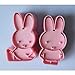 2pcs Miffy cookie cutter Fondant Cake sugarcraft crafts mold modelling tool new