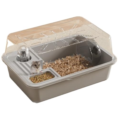 nX^[ P[W bg nlY~ Q[W MumuElf  ʋC  aM {[t WKA LN} p (A)