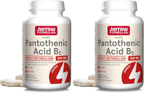 Pantothenic Acid B5 500 mg (2-pack) — 100 Veggie Caps