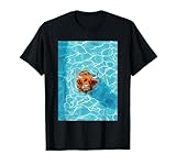 Scottish Highland Cow Summer2024